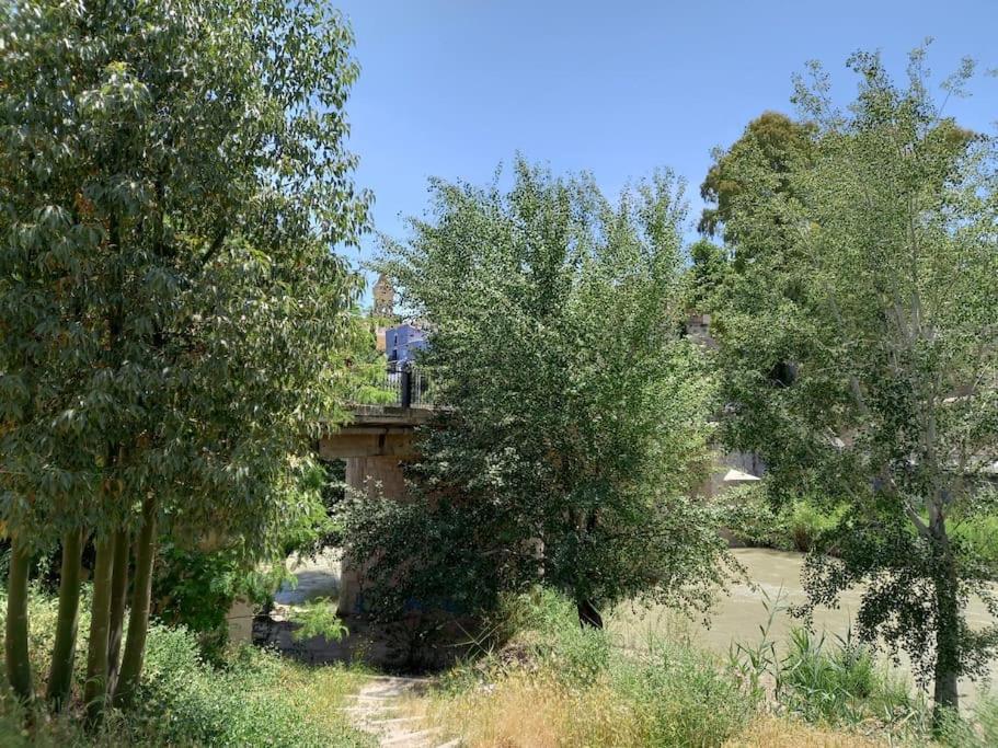 Apartamento Tranquilo Cerca De Zonas Verdes Cieza Zewnętrze zdjęcie