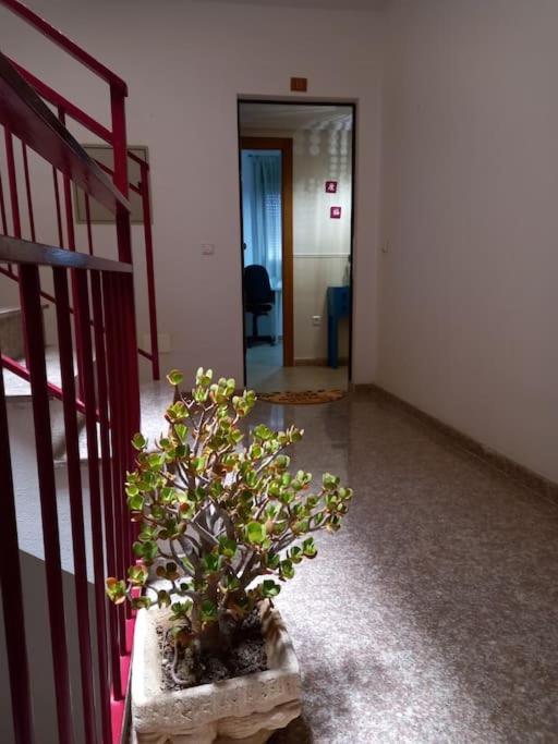 Apartamento Tranquilo Cerca De Zonas Verdes Cieza Zewnętrze zdjęcie