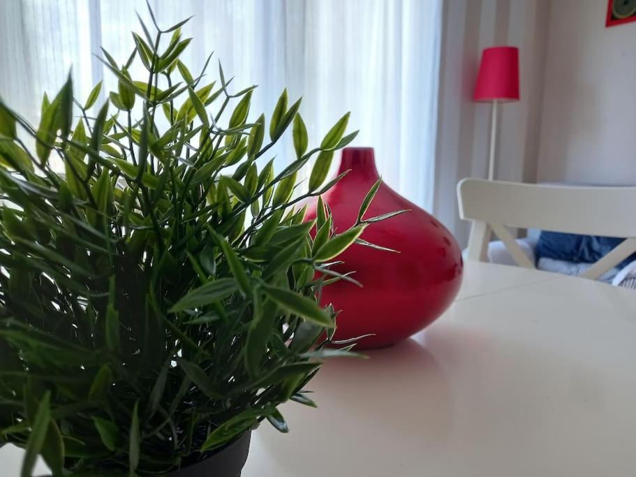 Apartamento Tranquilo Cerca De Zonas Verdes Cieza Zewnętrze zdjęcie